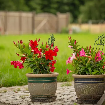 Apartment Hinter'm Zur Schneiderei Kachelofen Schlittenbett Smart-tv *