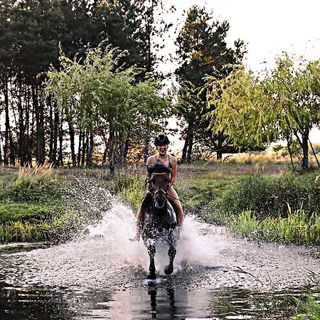 Hinter'm Zur Schneiderei Kachelofen Schlittenbett Smart-tv * Hintersee