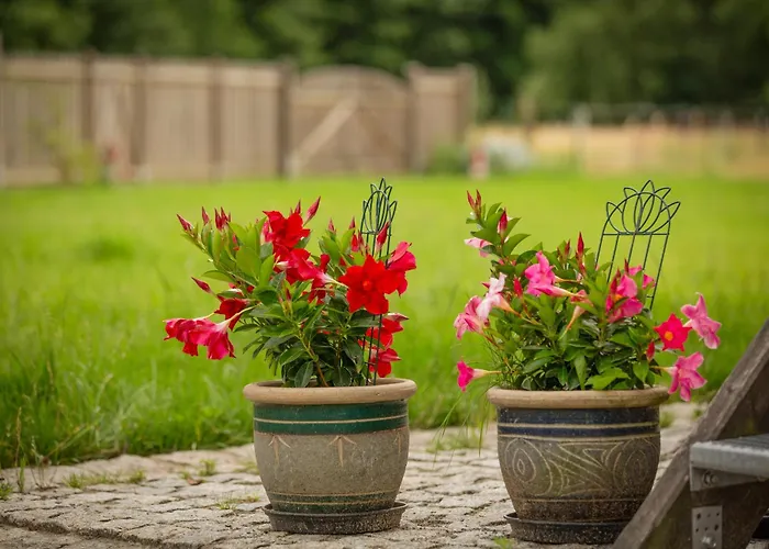 Apartment Hinter`m Zur Schneiderei Kachelofen Schlittenbett Smart-tv *