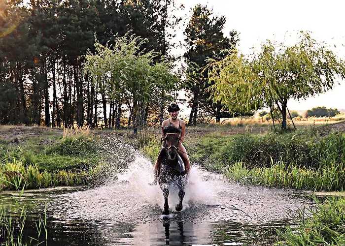 Hinter`m Zur Schneiderei Kachelofen Schlittenbett Smart-tv * Hintersee